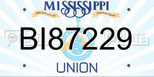 BI87229 Mississippi License Plate