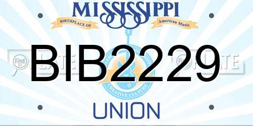 BIB2229 Mississippi License Plate