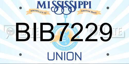 BIB7229 Mississippi License Plate