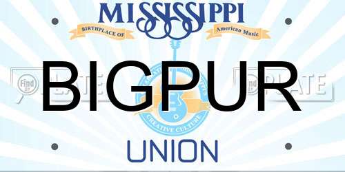 BIGPUR Mississippi License Plate
