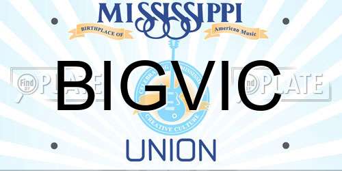 BIGVIC Mississippi License Plate
