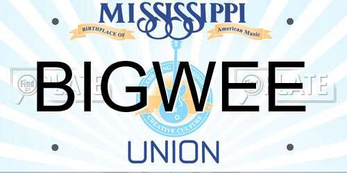 BIGWEE Mississippi License Plate