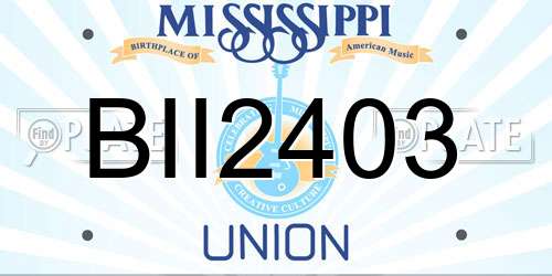 BII2403 Mississippi License Plate