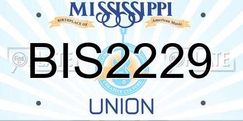 BIS2229 Mississippi License Plate