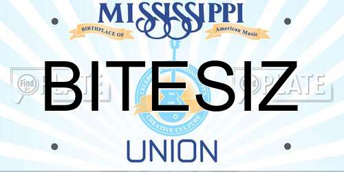 BITESIZ Mississippi License Plate