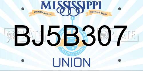 BJ5B307 Mississippi License Plate