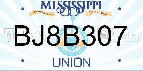 BJ8B307 Mississippi License Plate