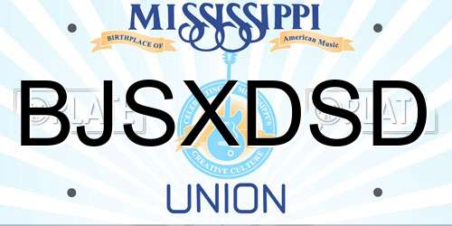 BJSXDSD Mississippi License Plate