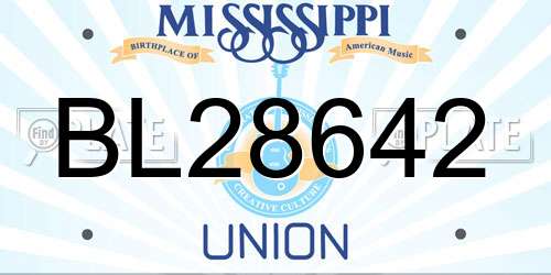 BL28642 Mississippi License Plate