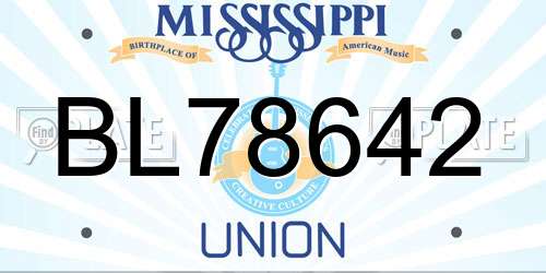 BL78642 Mississippi License Plate
