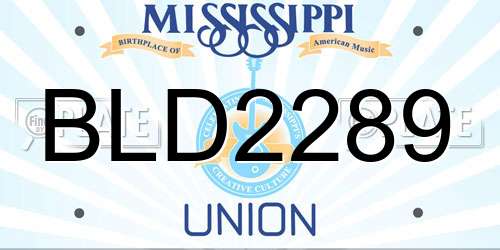 BLD2289 Mississippi License Plate