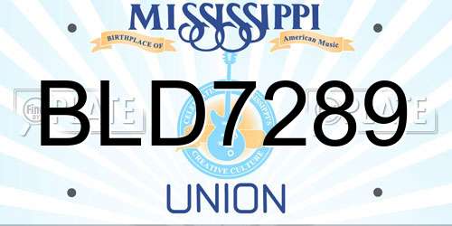 BLD7289 Mississippi License Plate