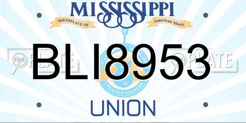 BLI8953 Mississippi License Plate