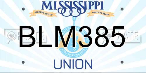 BLM385 Mississippi License Plate