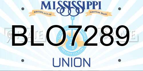 BLO7289 Mississippi License Plate