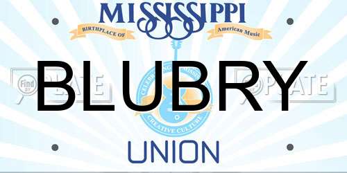 BLUBRY Mississippi License Plate