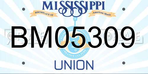BM05309 Mississippi License Plate
