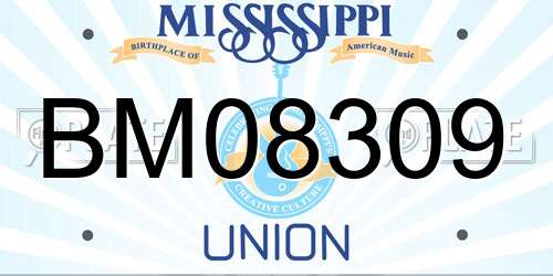 BM08309 Mississippi License Plate
