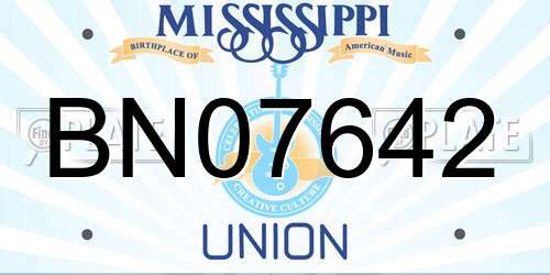 BN07642 Mississippi License Plate