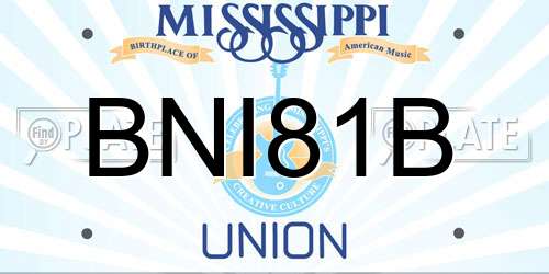 BNI81B Mississippi License Plate