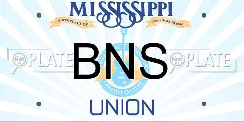 BNS Mississippi License Plate