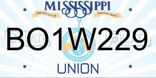 BO1W229 Mississippi License Plate