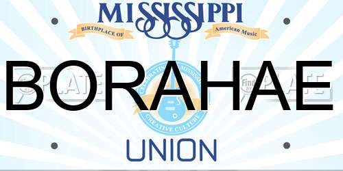 BORAHAE Mississippi License Plate