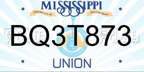 BQ3T873 Mississippi License Plate