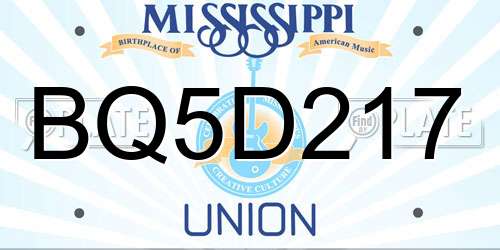 BQ5D217 Mississippi License Plate
