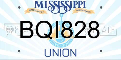 BQI828 Mississippi License Plate
