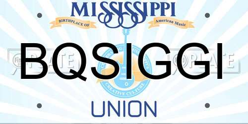 BQSIGGI Mississippi License Plate