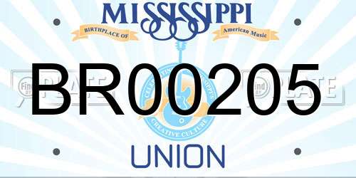 BR00205 Mississippi License Plate