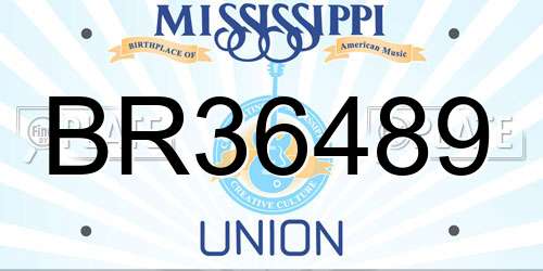 BR36489 Mississippi License Plate