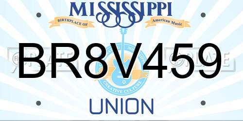 BR8V459 Mississippi License Plate