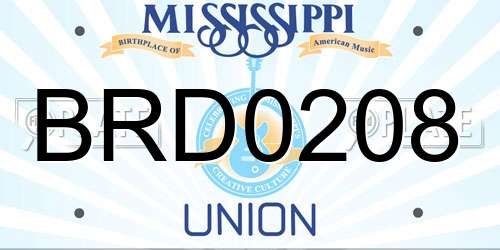 BRD0208 Mississippi License Plate