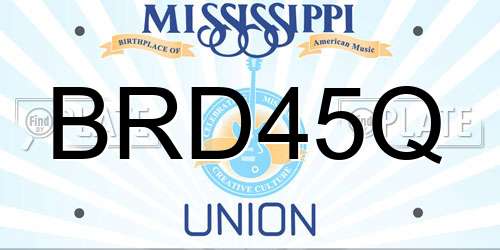 BRD45Q Mississippi License Plate