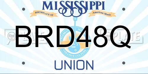 BRD48Q Mississippi License Plate