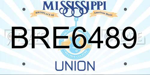 BRE6489 Mississippi License Plate