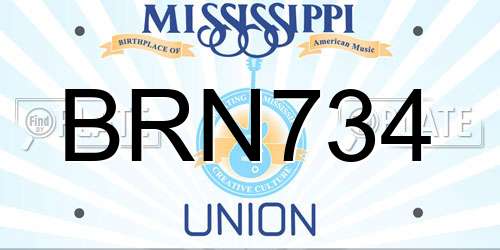 BRN734 Mississippi License Plate