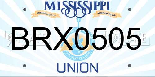 BRX0505 Mississippi License Plate