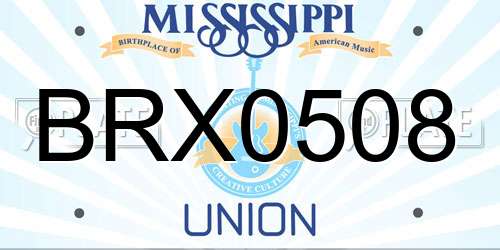 BRX0508 Mississippi License Plate