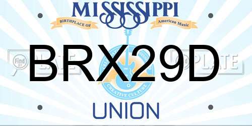 BRX29D Mississippi License Plate