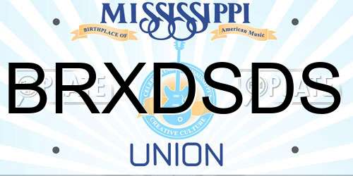BRXDSDS Mississippi License Plate