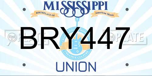 BRY447 Mississippi License Plate