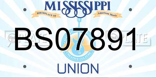 BS07891 Mississippi License Plate