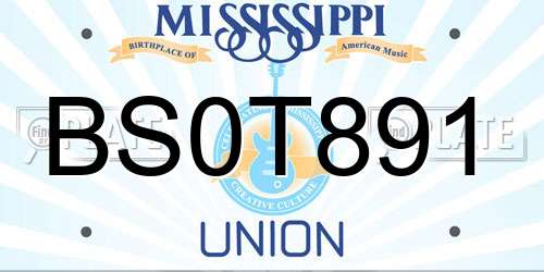 BS0T891 Mississippi License Plate