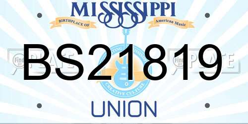 BS21819 Mississippi License Plate
