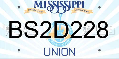 BS2D228 Mississippi License Plate
