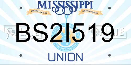 BS2I519 Mississippi License Plate