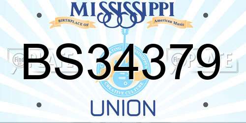 BS34379 Mississippi License Plate